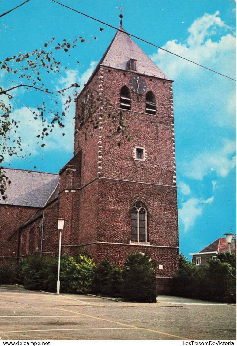 BELGIQUE - Zandhoven - Pulle - Petrus En Pauluskerk - Colorisé - Carte Postale - Zandhoven