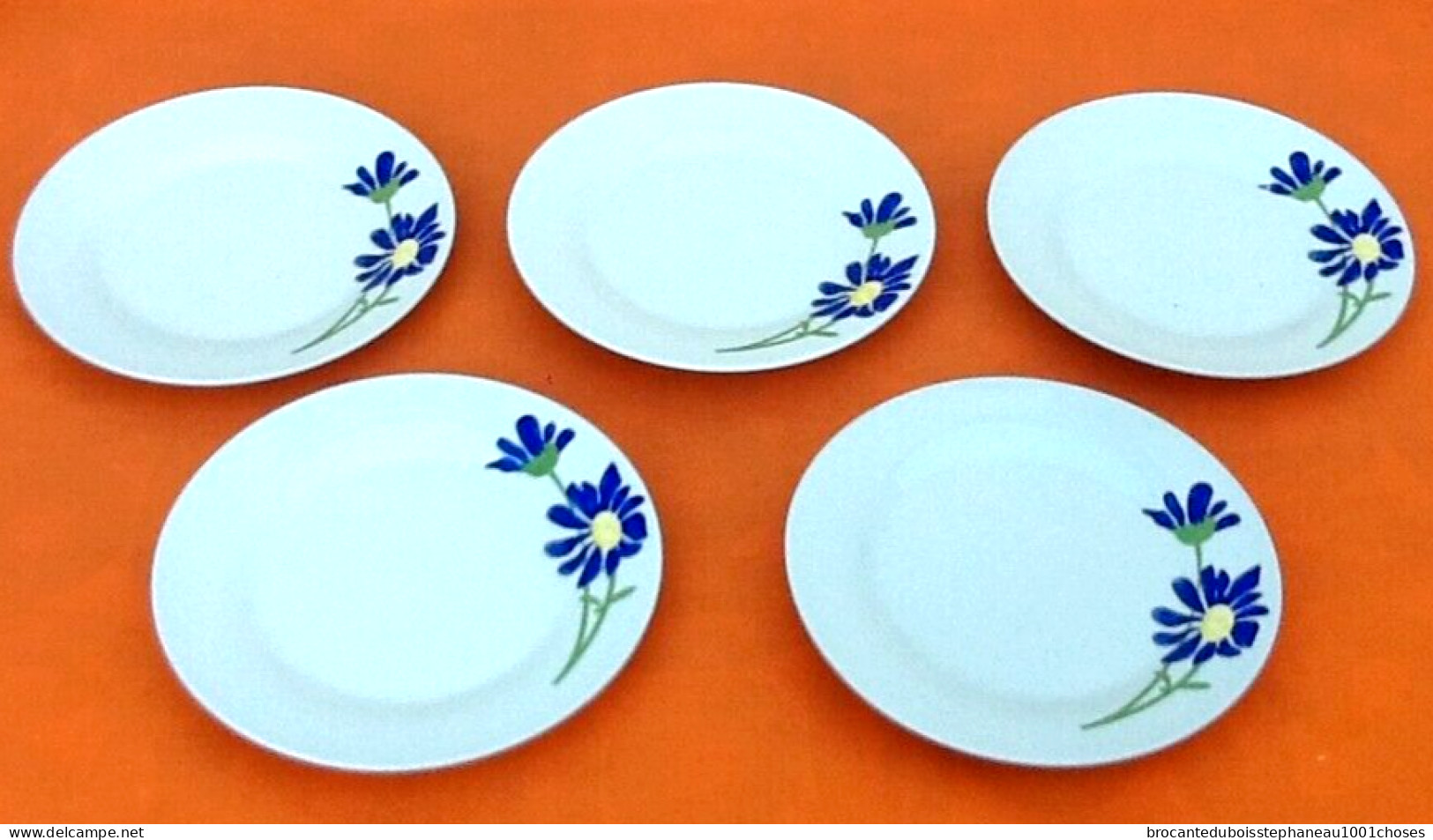 5 Assiettes   Porcelaine à Décor Floral - Autres & Non Classés