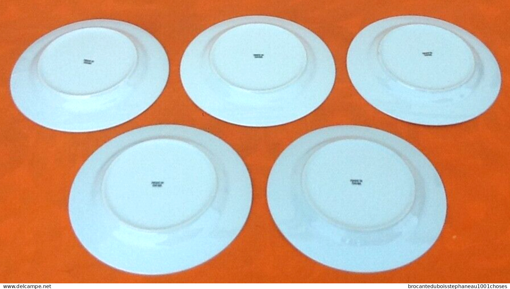 5 Assiettes   Porcelaine à Décor Floral - Autres & Non Classés