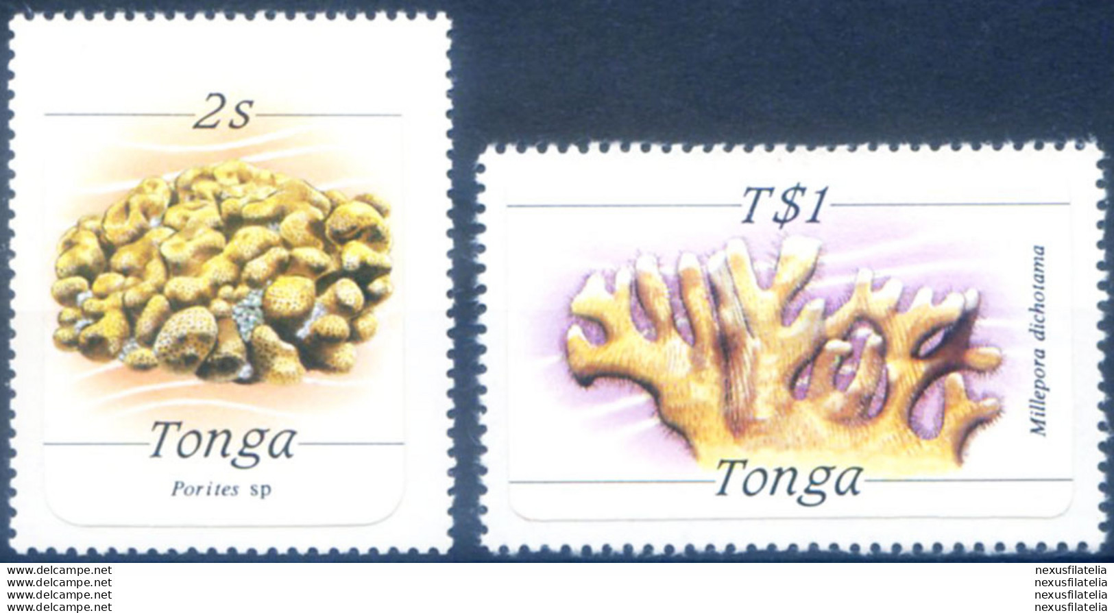 Definitiva. Fauna Marina 1984. - Tonga (1970-...)