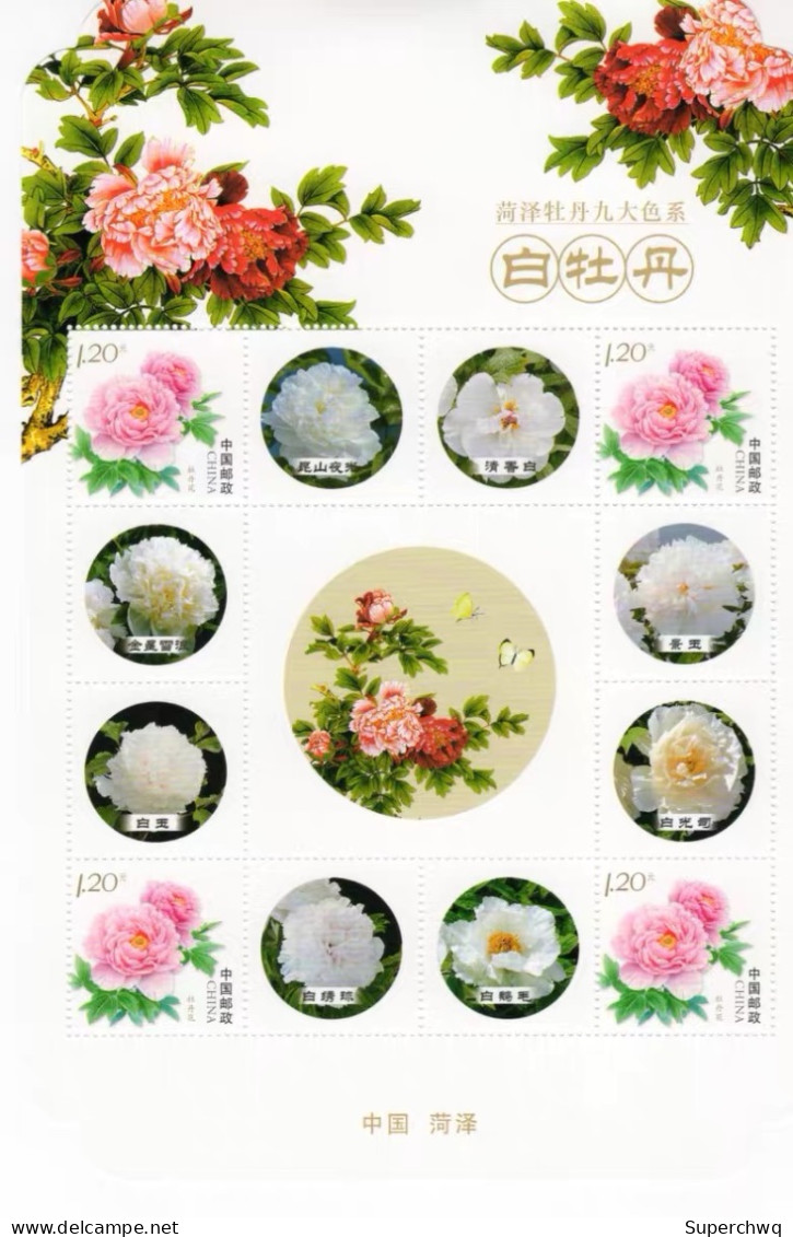 China Personalized Stamp  MS MNH,Heze Peony, Nine Major Color Series, Alien,9 Pcs - Neufs