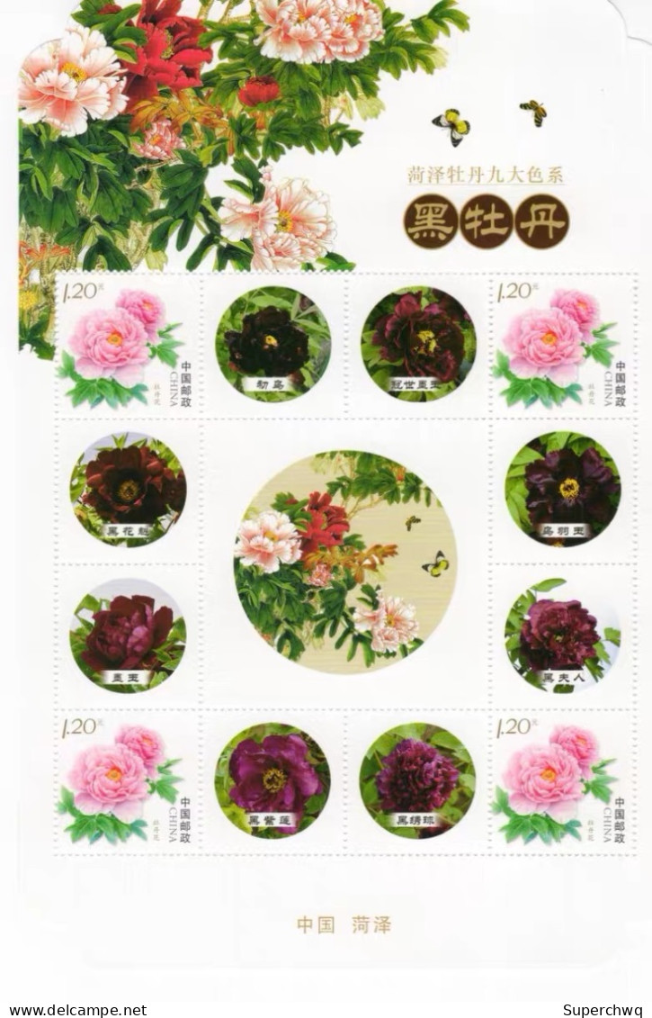 China Personalized Stamp  MS MNH,Heze Peony, Nine Major Color Series, Alien,9 pcs
