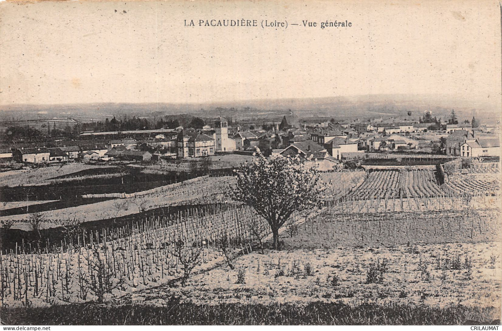 42-LA PACAUDIERE-N°T5227-G/0007 - La Pacaudiere