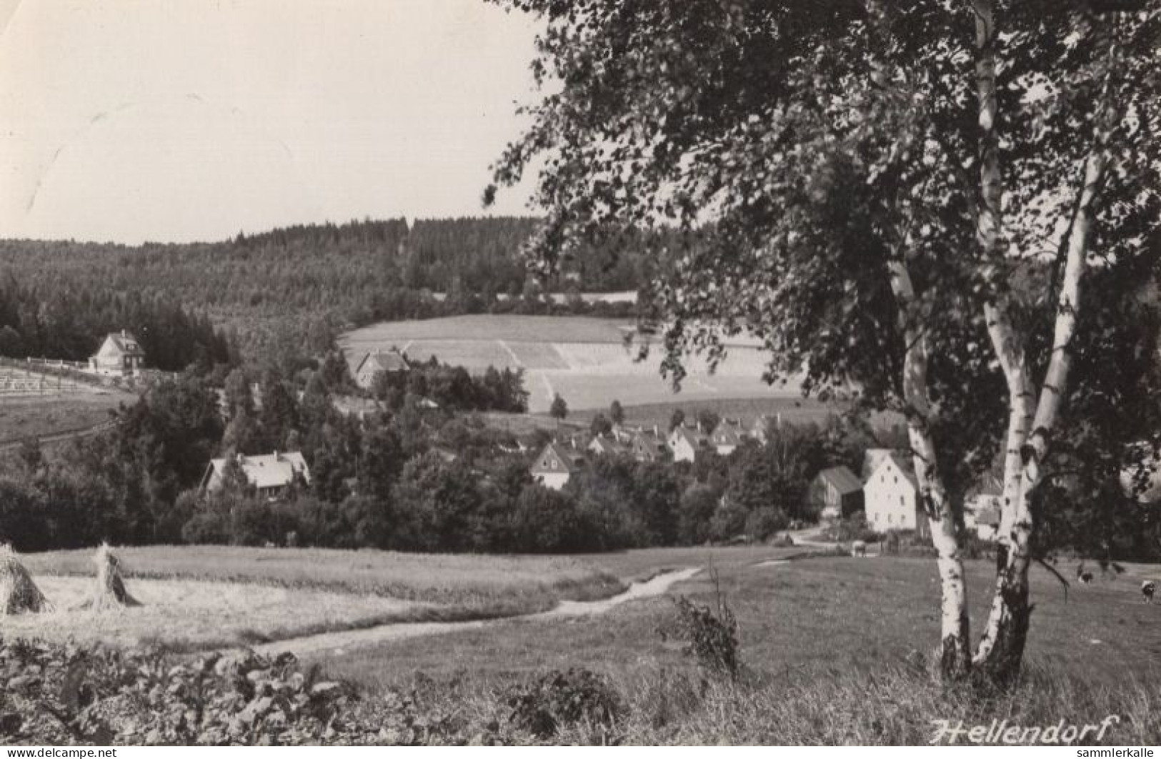 124001 - Bad Gottleuba-Berggiesshübel, Hellendorf - Ansicht - Bad Gottleuba-Berggiesshuebel