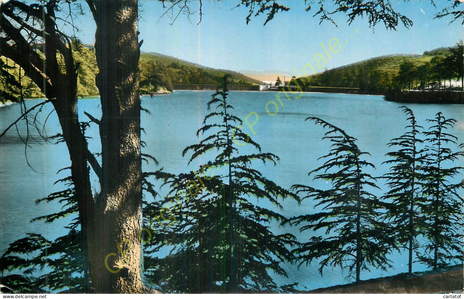 42.  BOURG ARGENTAL .  Lac Et Barrage Du Ternay . - Bourg Argental