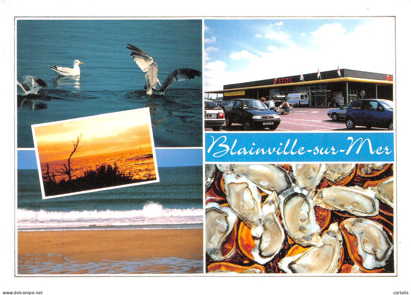 50-BLAINVILLE SUR MER-N°4293-B/0325 - Blainville Sur Mer