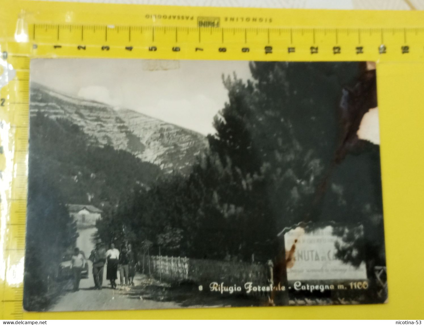 CT-05761- RIFUGIO FORESTALE - CARPEGNA M.1100 - PESARO -ANIMATA AUTO EPOCA VIAGGIATA 1961- ABRASIONI LATO DESTRO - Autres & Non Classés