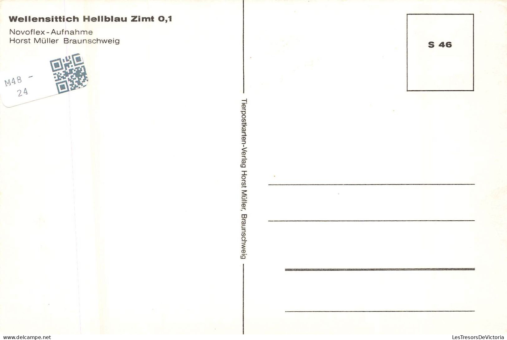 ANIMAUX ET FAUNE - Wellensittich Hellbau Zimt - Colorisé - Carte Postale - Vögel