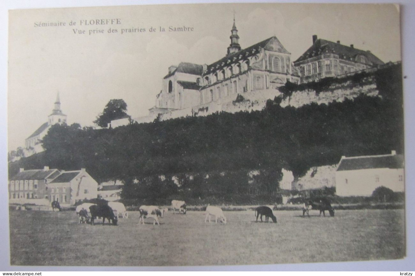 BELGIQUE - NAMUR - FLOREFFE - Le Séminaire Vu Des Prairies De La Sambre - Floreffe