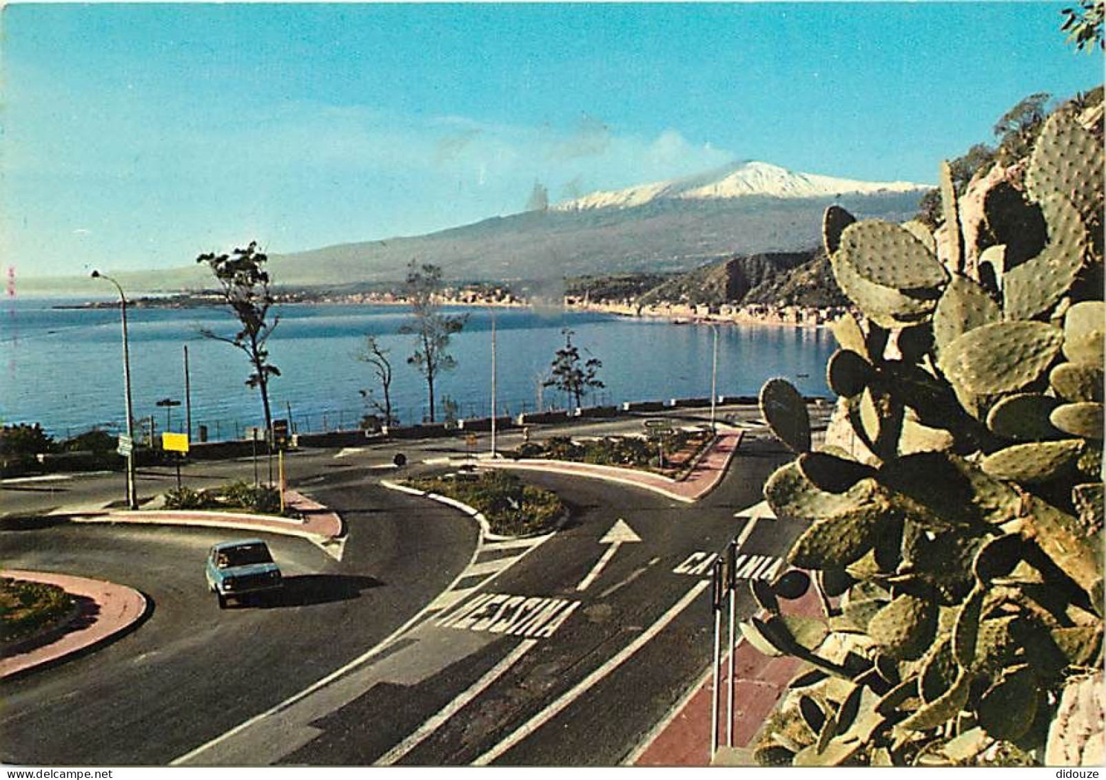 Fleurs - Plantes - Cactus - Italie - Sicile - Taormina - Panorama - Automobiles - CPM - Voir Scans Recto-Verso - Cactus