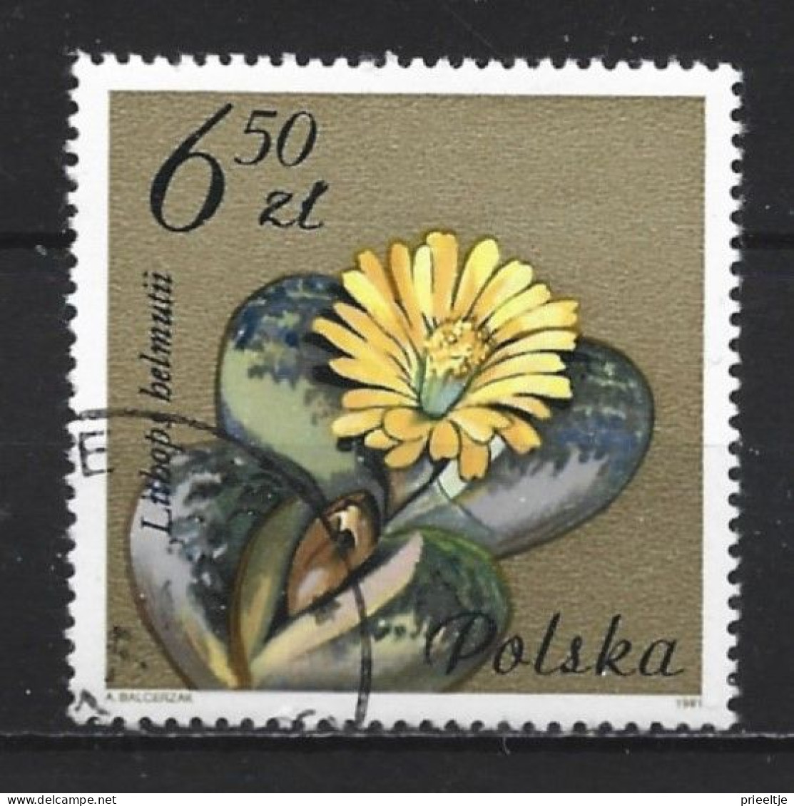 Poland 1981 Flowers Y.T. 2605 (0) - Gebraucht