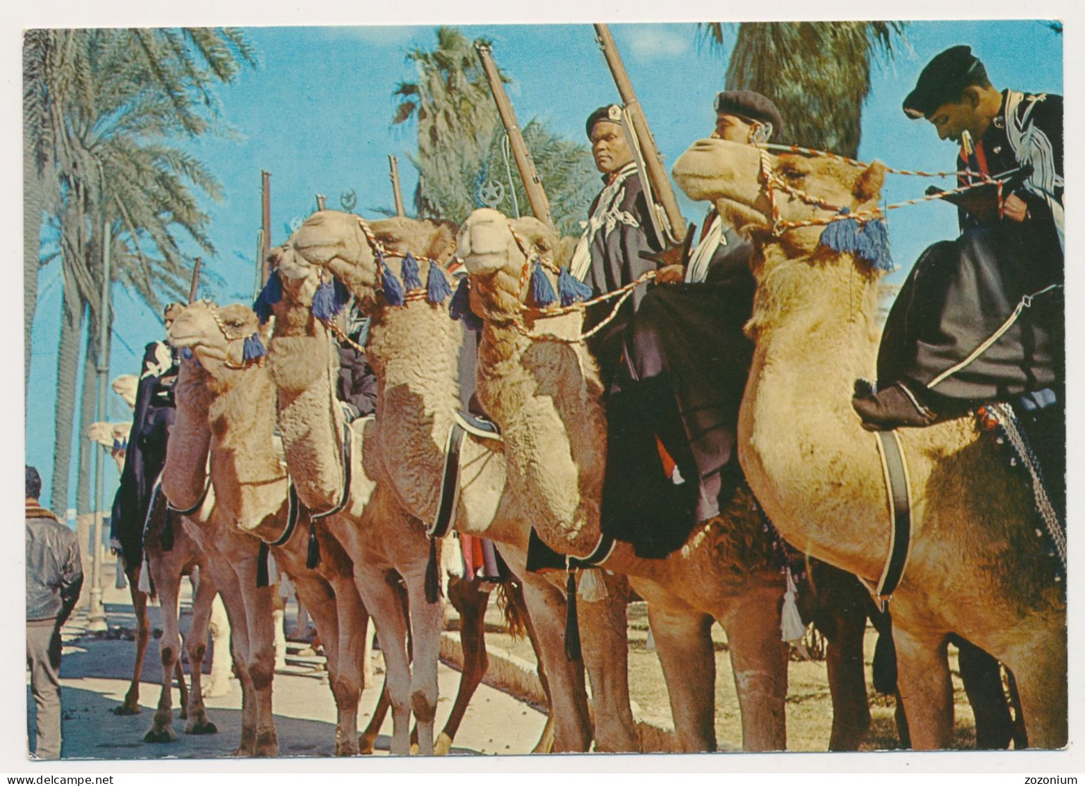 LIBYA, Military Desert Patrols With Camels  Old Photo Postcard - Libye