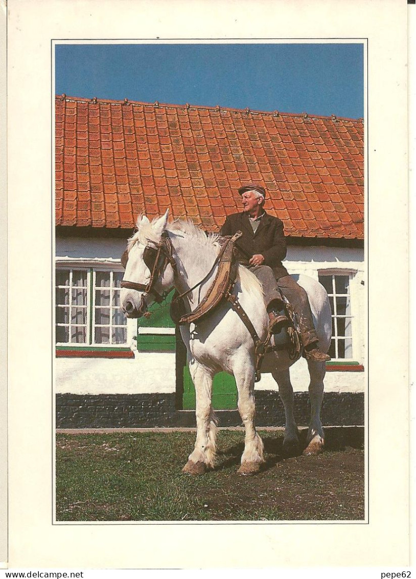 Cheval Boulonnais-cavalier-- Scene En Pas De Calais- Agriculture-cpm - Nord-Pas-de-Calais