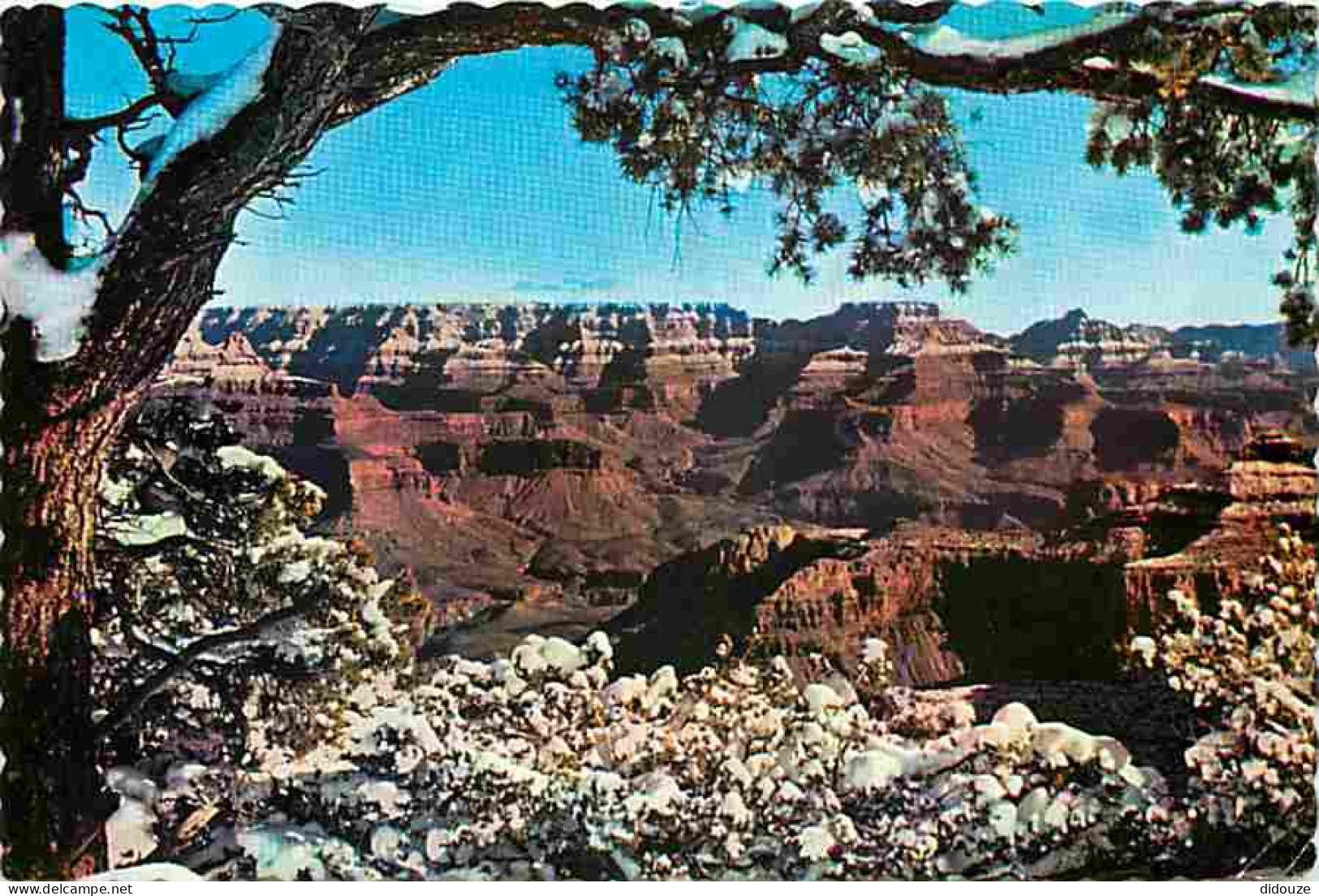 Etats Unis - Grand Canyon - Grand Canyon National Park - CPM - Voir Scans Recto-Verso - Gran Cañon