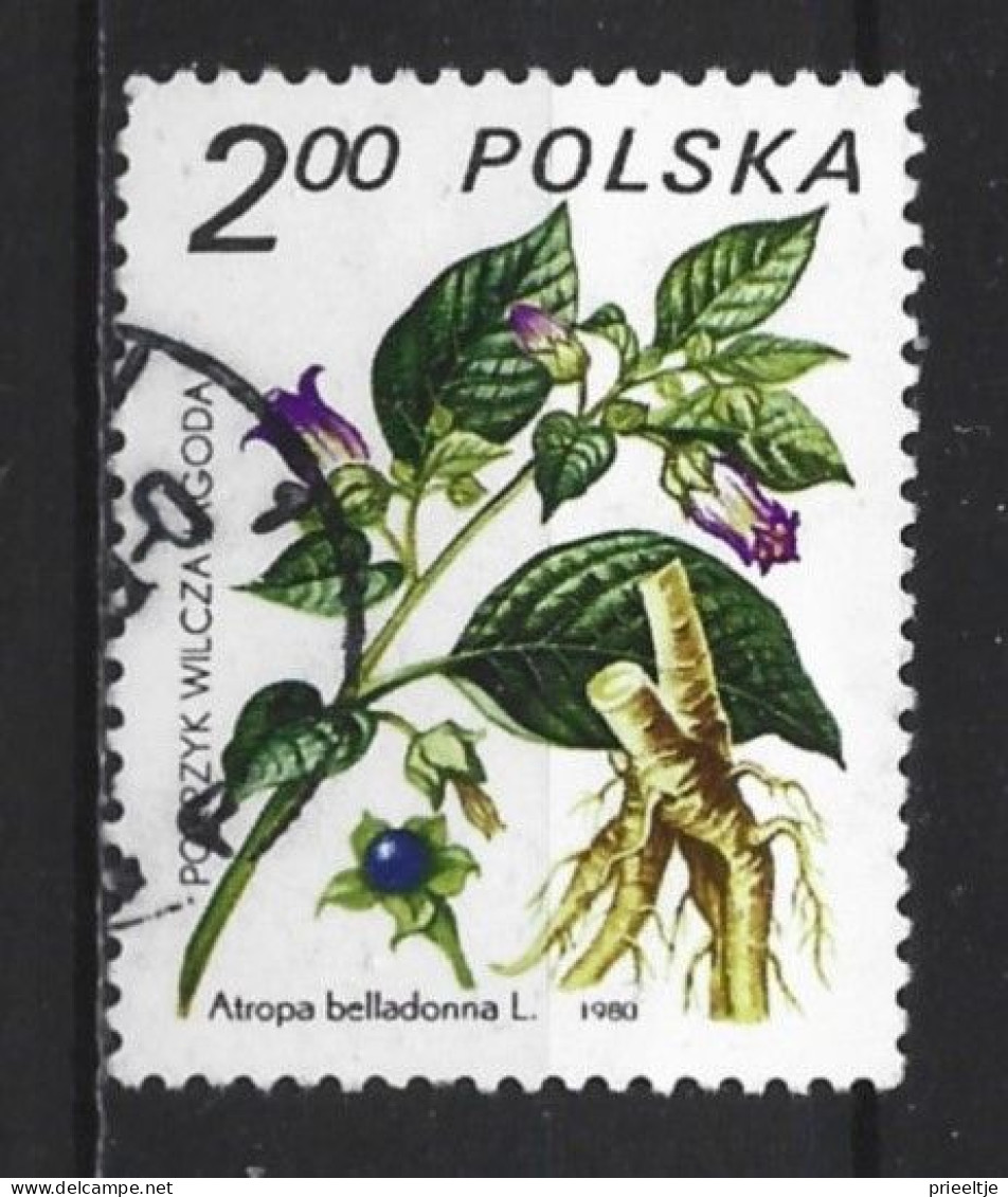 Poland 1980 Flora  Y.T. 2523 (0) - Gebraucht