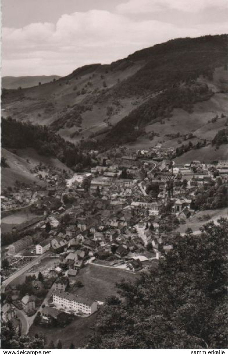 87985 - Todtnau - Ca. 1960 - Todtnau