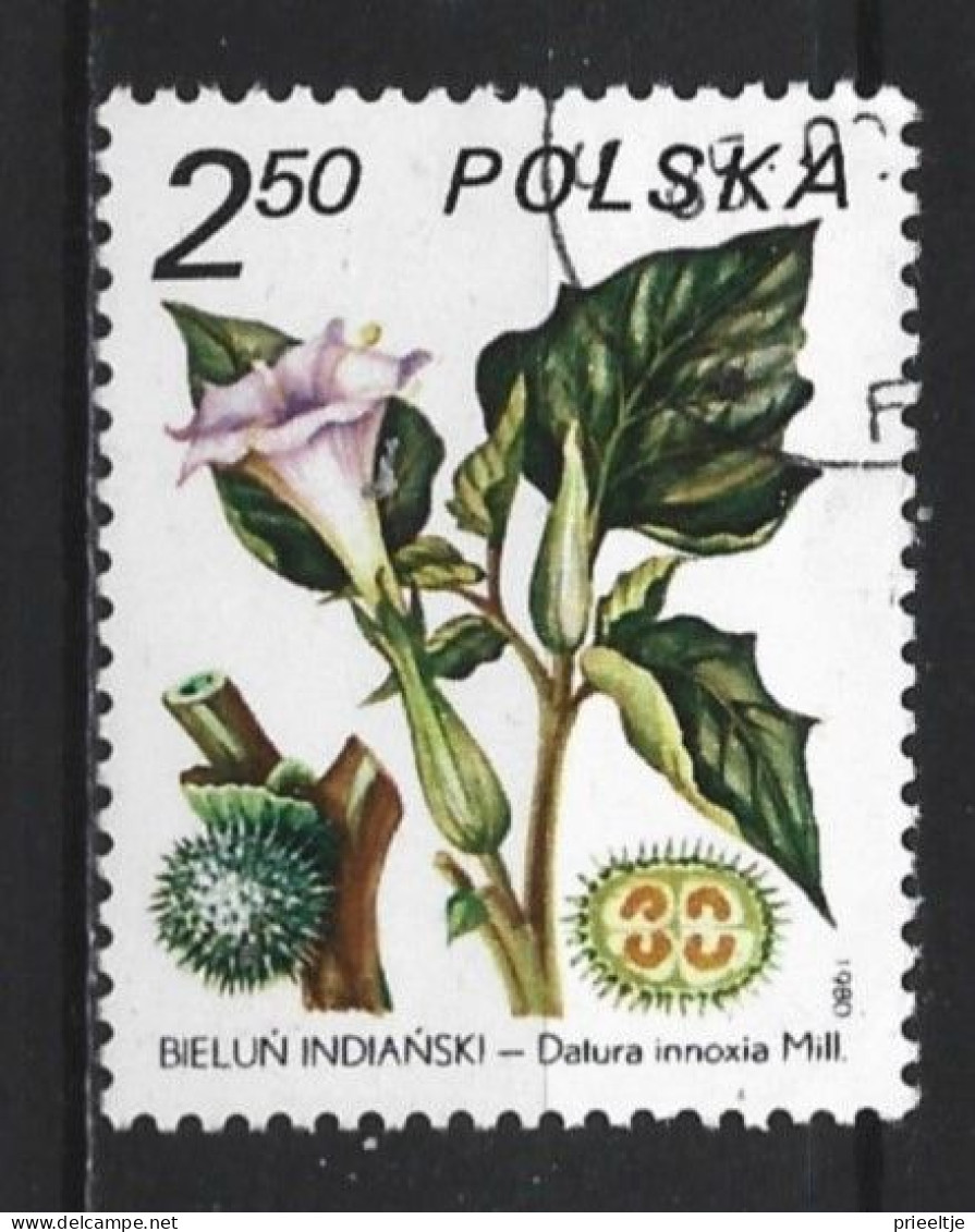 Poland 1980 Flora  Y.T. 2524 (0) - Gebraucht