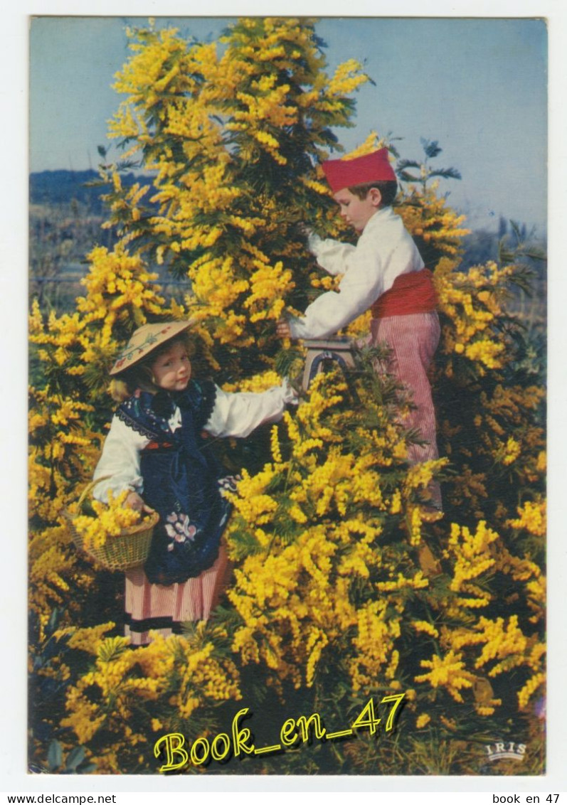 {87027} Les Fleurs De La Côte D' Azur, Mimosas ; Enfants En Costume Local - Costumi