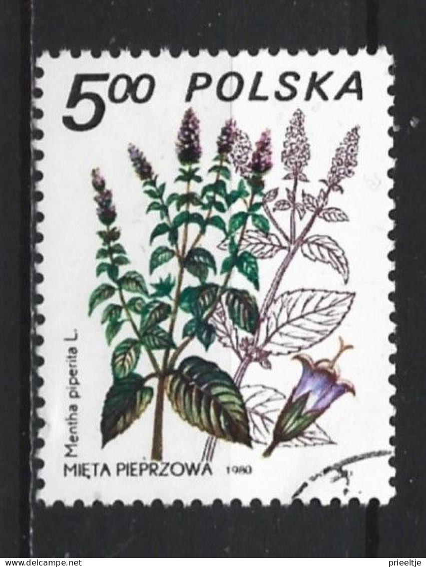 Poland 1980 Flora  Y.T. 2526 (0) - Gebraucht