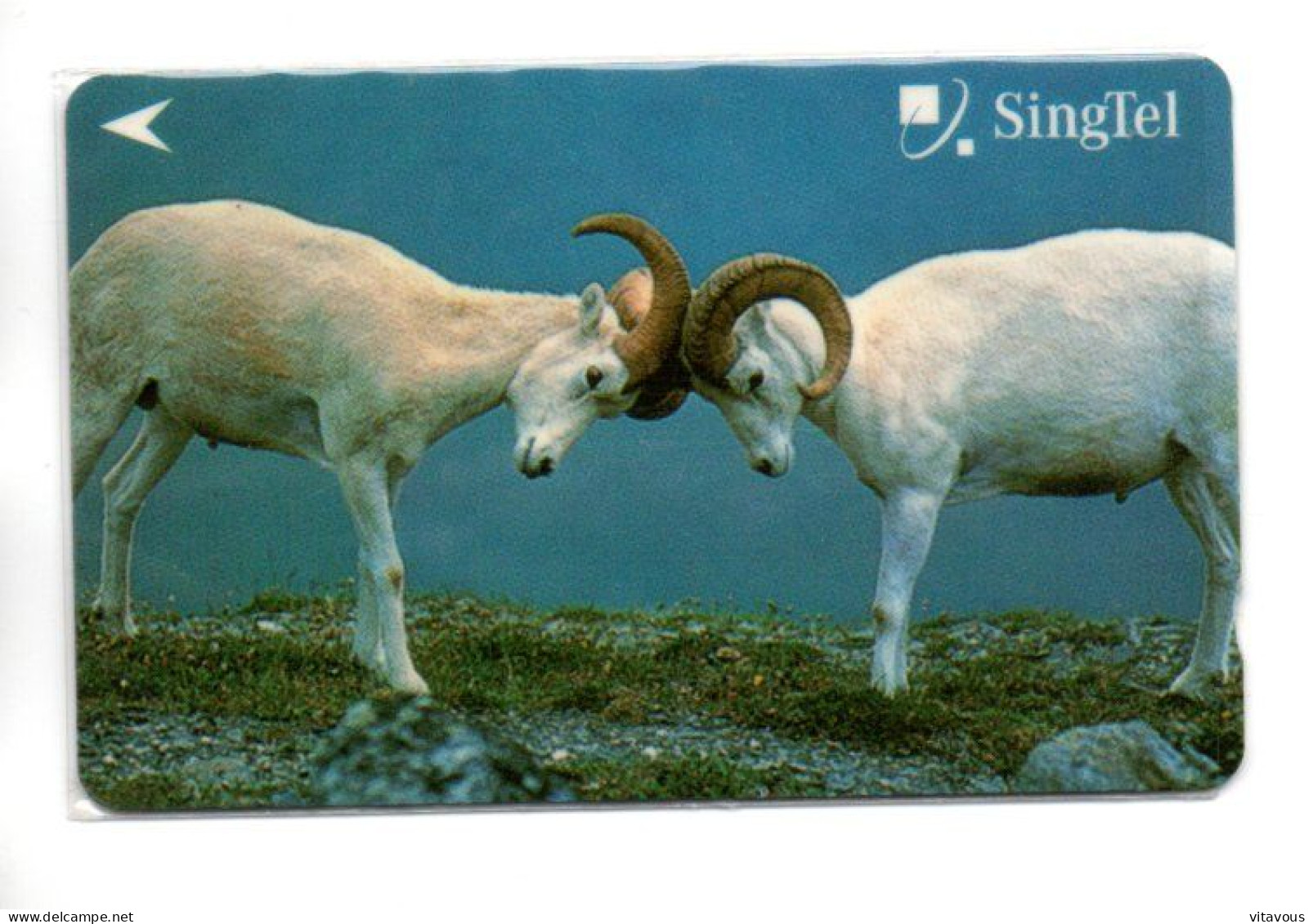 Bélier Animal Télécarte Singapour Phonecard Telefonkarte (K 69) - Singapore