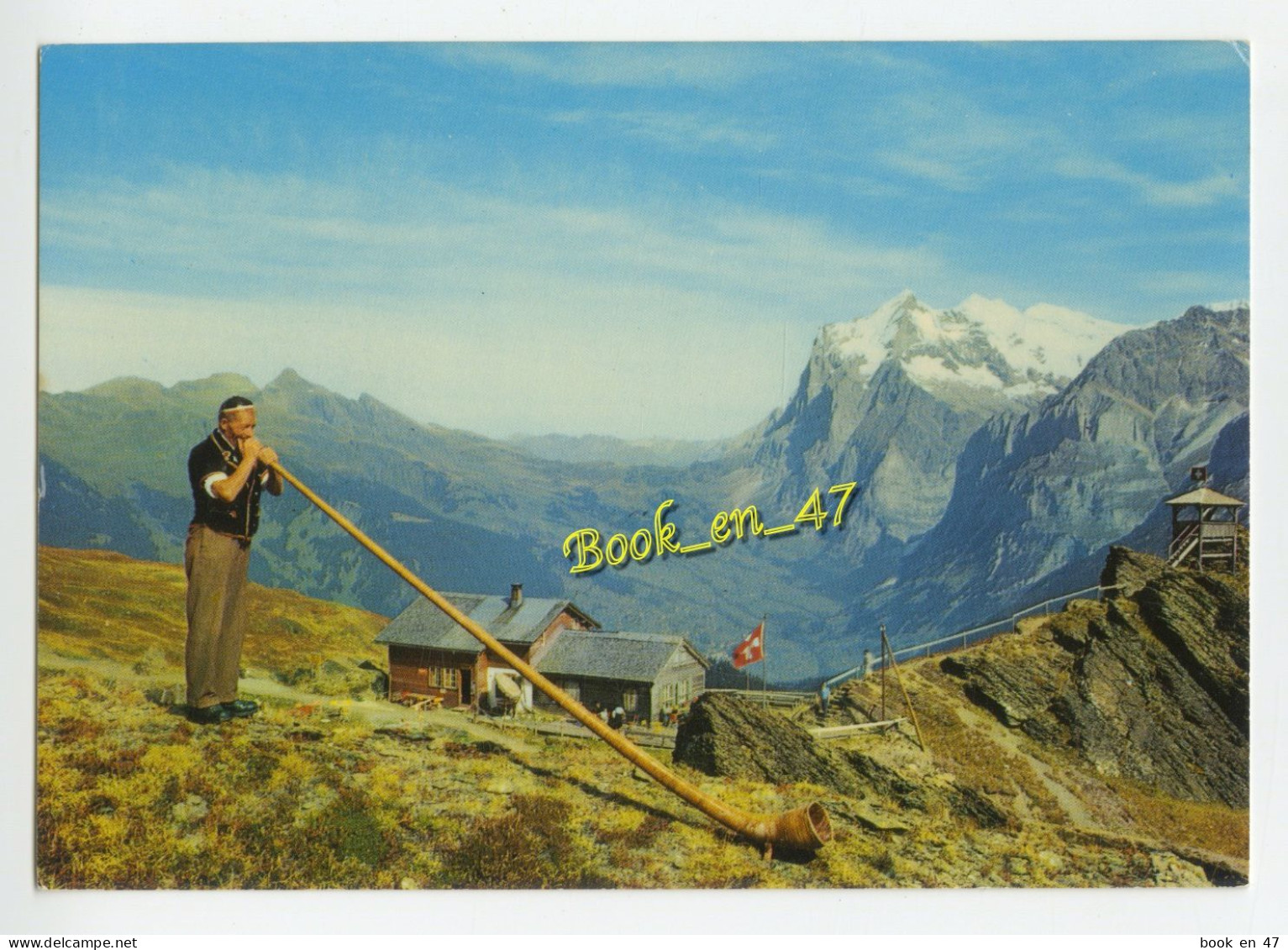 {87036} Alpes Suisses , Joueur De Cor Des Alpes Et La Vallée De Grindelwald - Musica