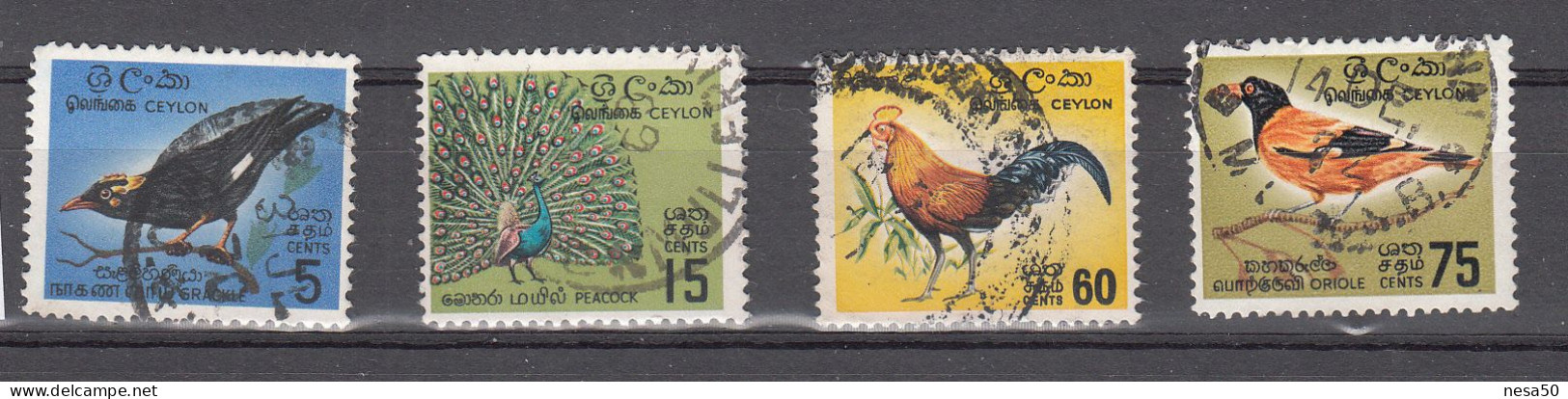 Sri Lanka 1966 Mi Nr 340 - 343, Vogels, Bird - Sri Lanka (Ceilán) (1948-...)