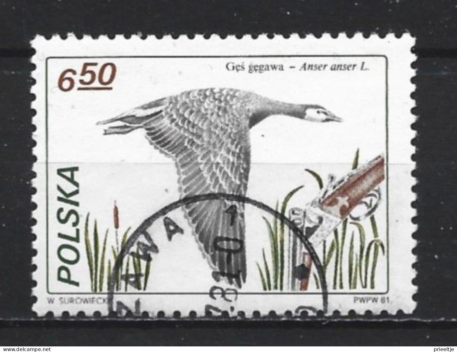 Poland 1981 Bird Y.T. 2567 (0) - Used Stamps