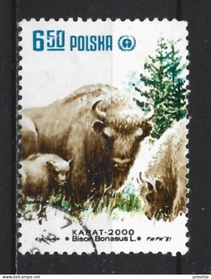 Poland 1981 Fauna Y.T. 2582 (0) - Used Stamps