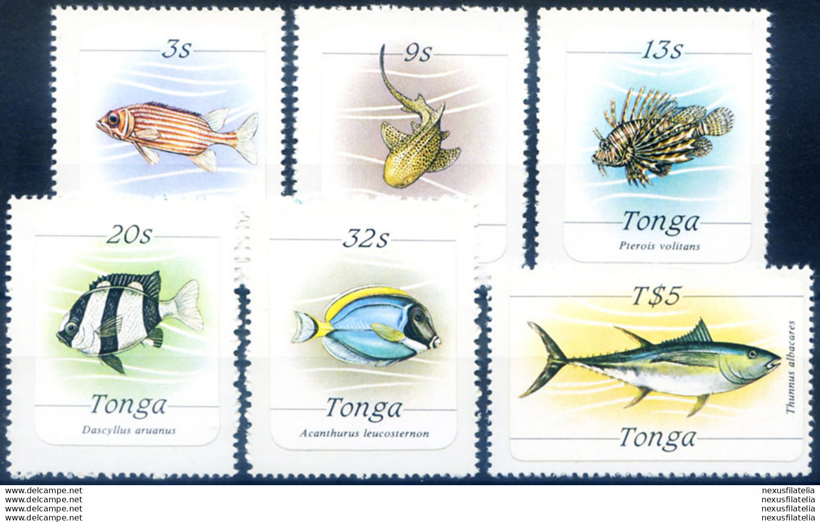 Definitiva. Fauna. Pesci 1984. - Tonga (1970-...)