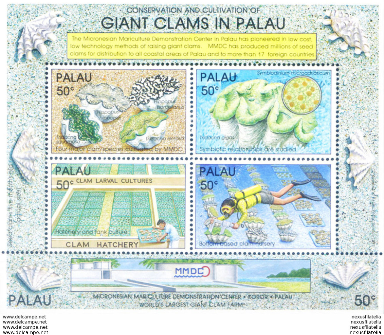 Fauna. Molluschi Giganti 1991. - Palau