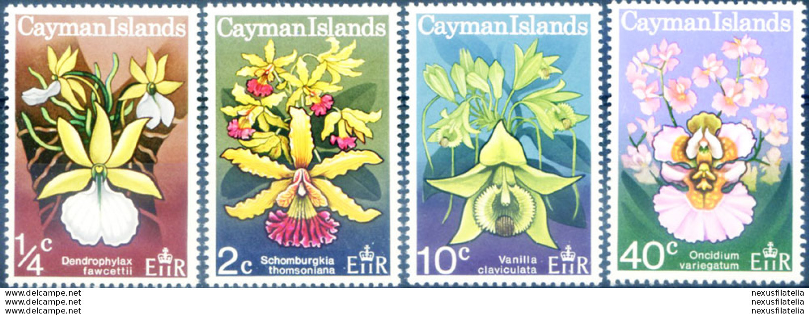 Flora. Orchidee 1971. - Iles Caïmans