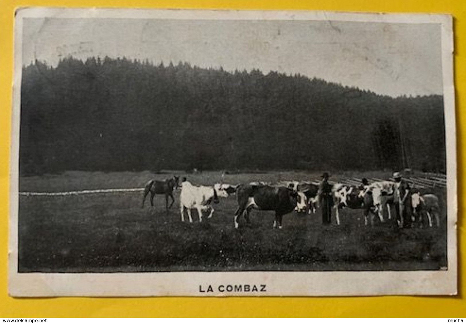 20030 - La Combaz Près Mauborget Vaches Et Bergers 15.07.1912 - Mauborget