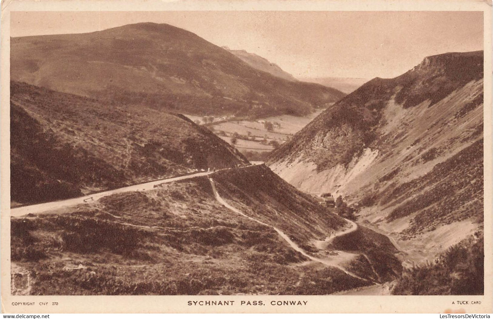 ETATS-UNIS - Sychnanc Pass - Conway - Vue Sur Des Montagnes Au Loin - Une Route - Carte Postale Ancienne - Other & Unclassified