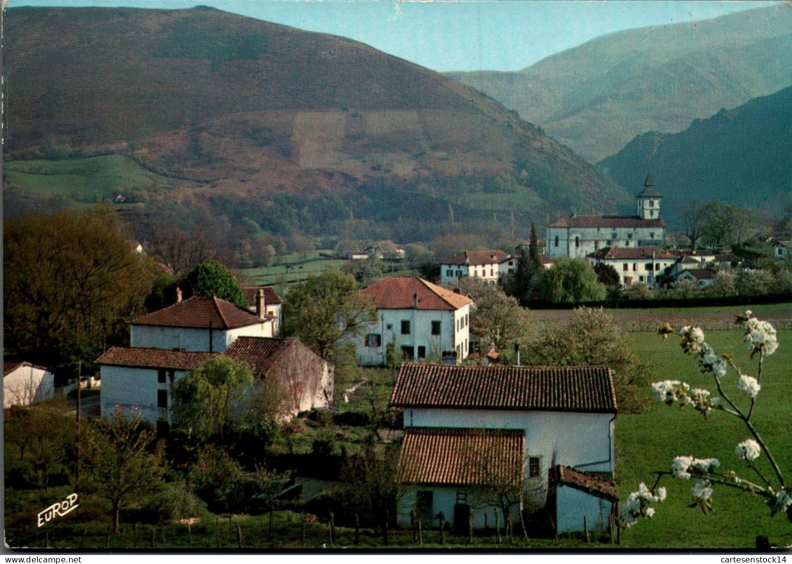 N°41950 Z -cpsm Itxassou -vue Générale- - Itxassou