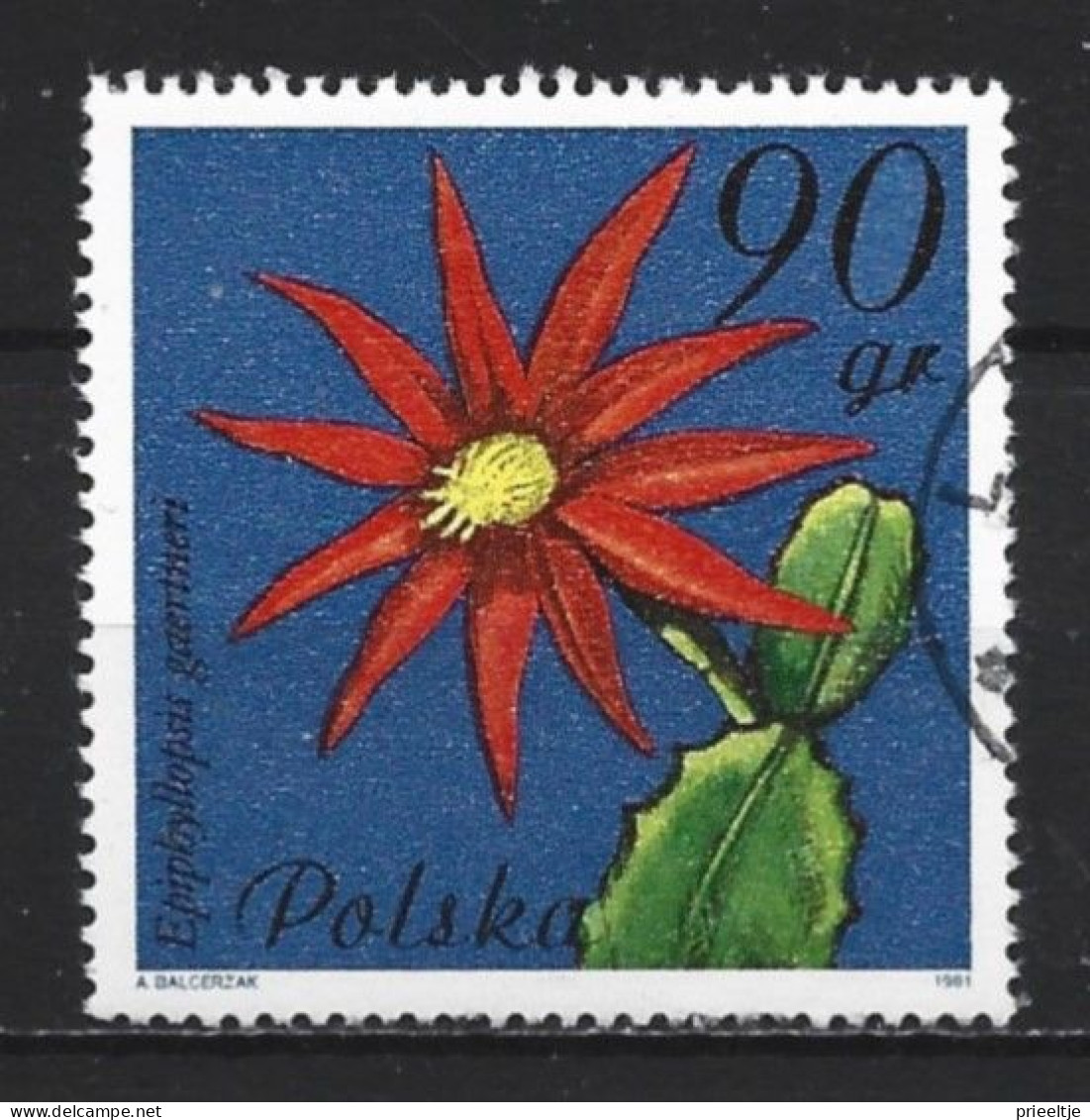 Poland 1981 Flowers Y.T. 2599(0) - Gebruikt