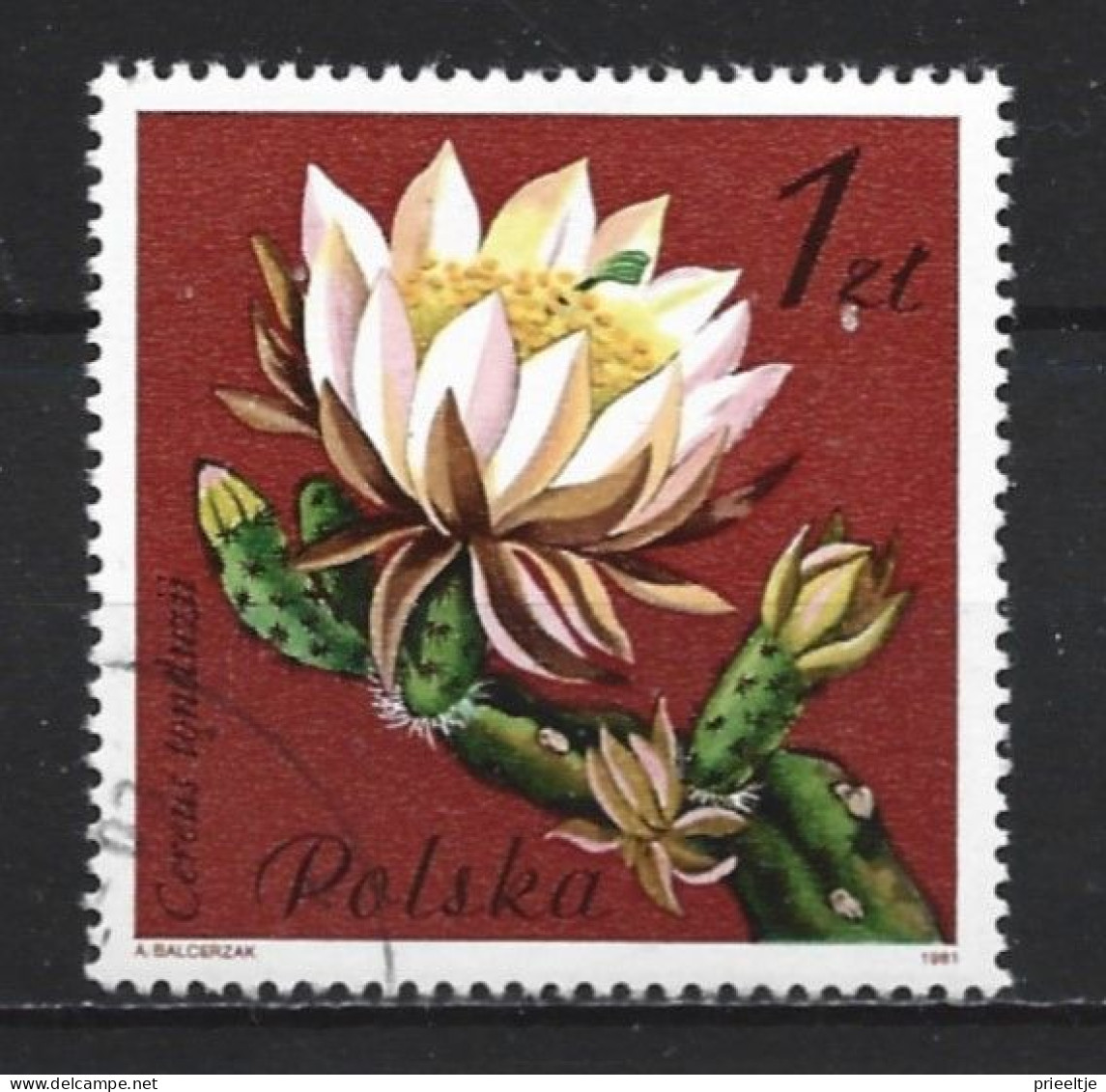 Poland 1981 Flowers Y.T. 2600 (0) - Gebraucht