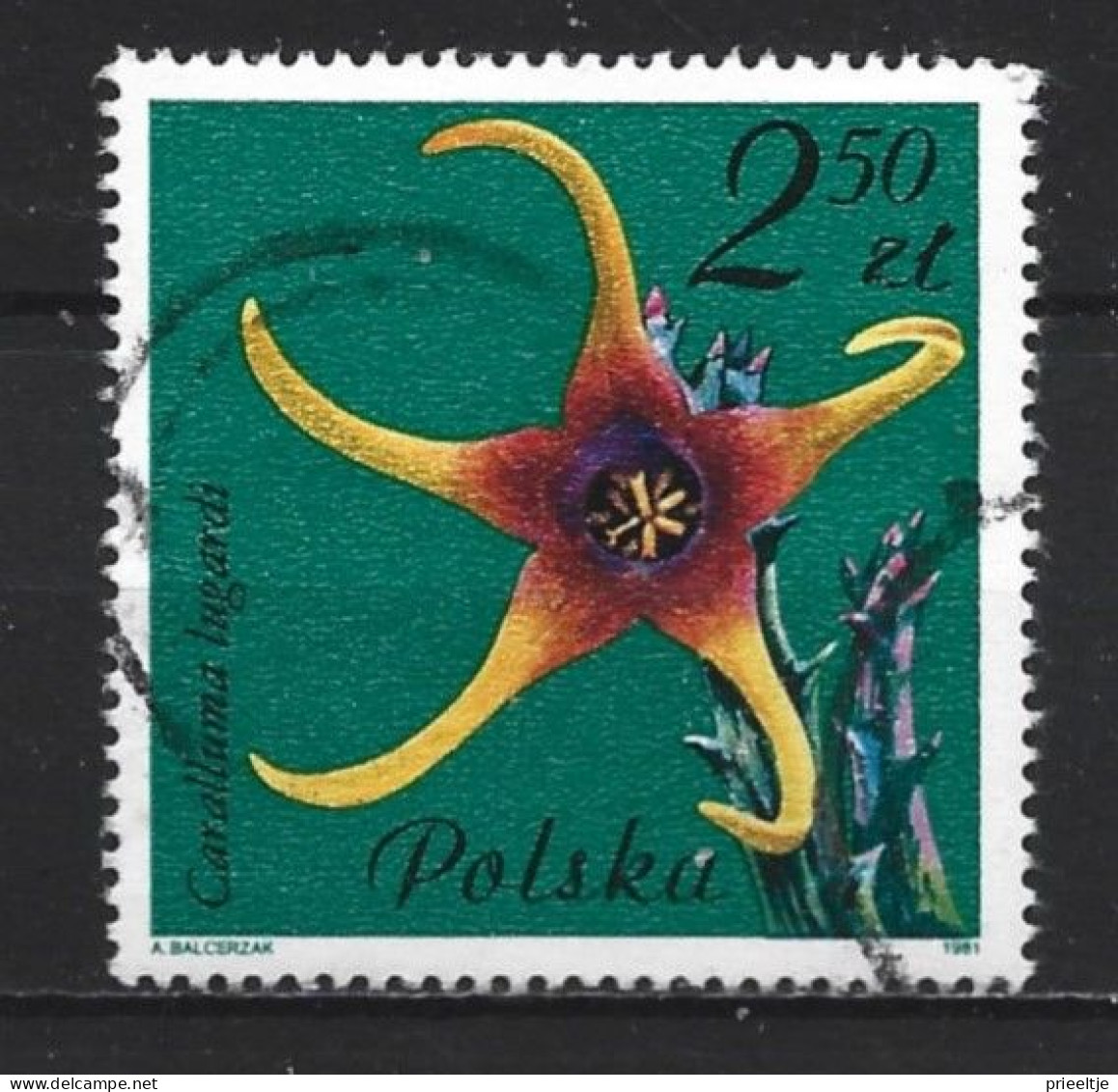 Poland 1981 Flowers Y.T. 2602 (0) - Used Stamps