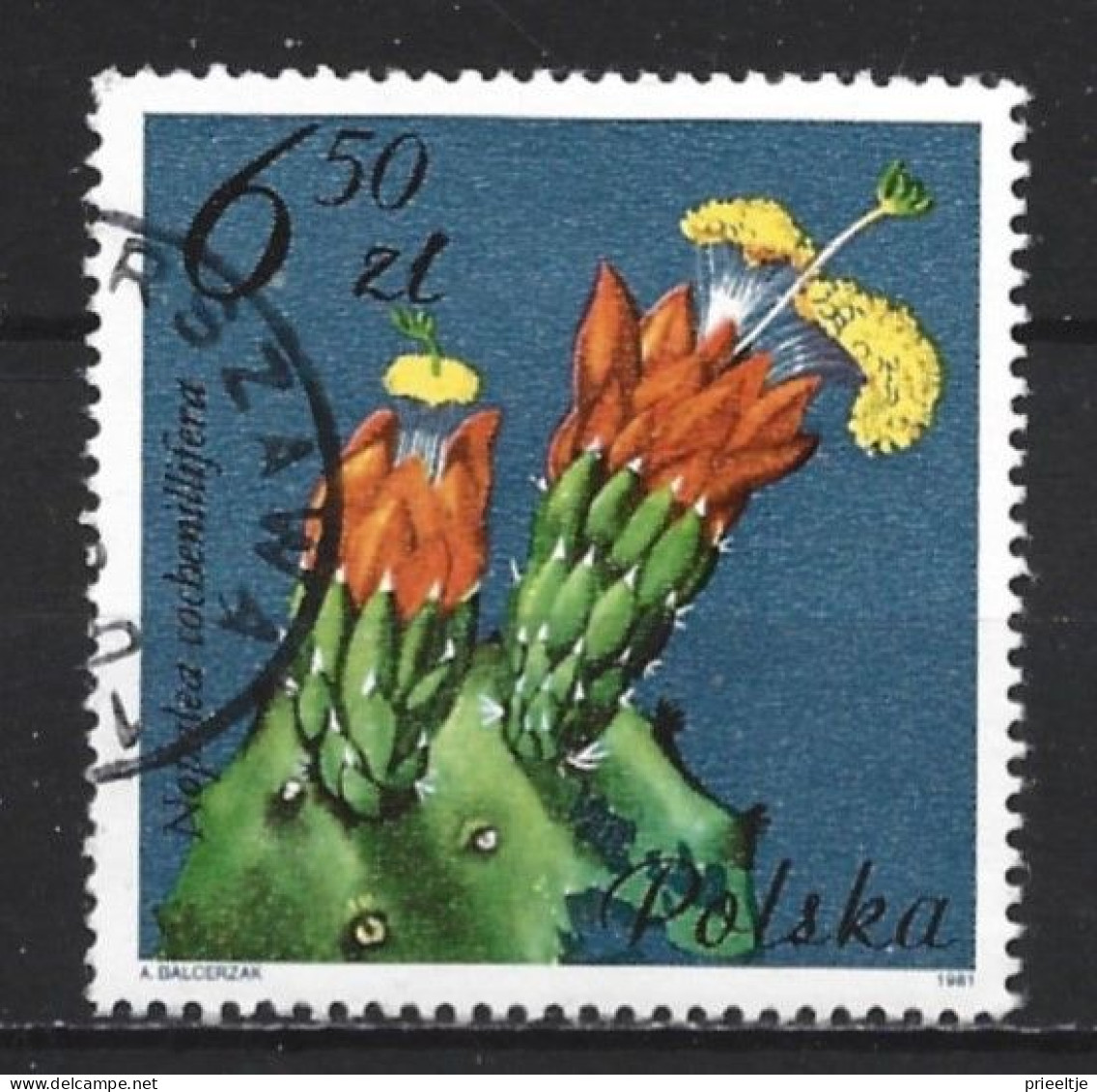 Poland 1981 Flowers Y.T. 2604 (0) - Gebraucht