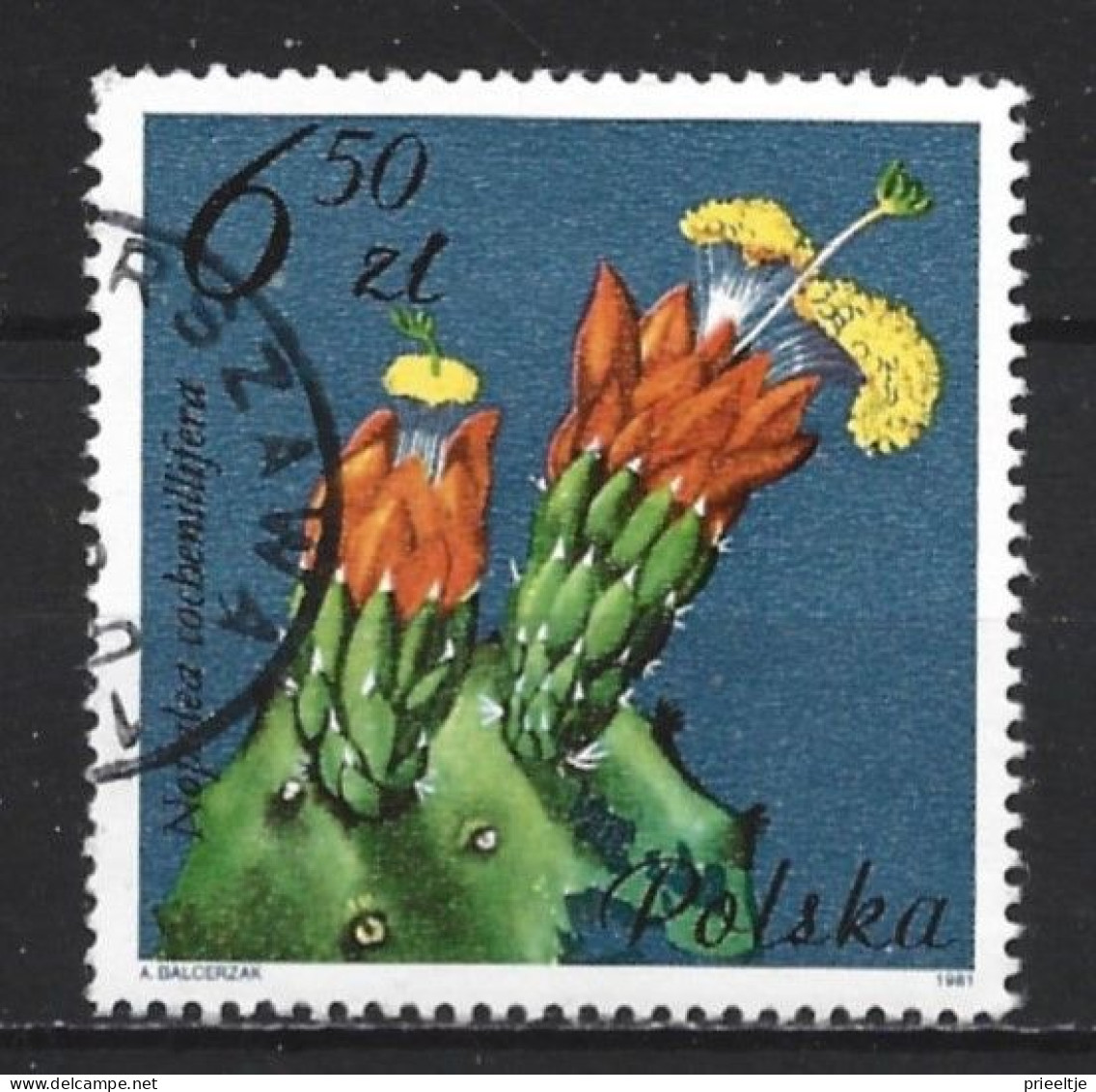 Poland 1981 Flowers Y.T. 2604 (0) - Used Stamps