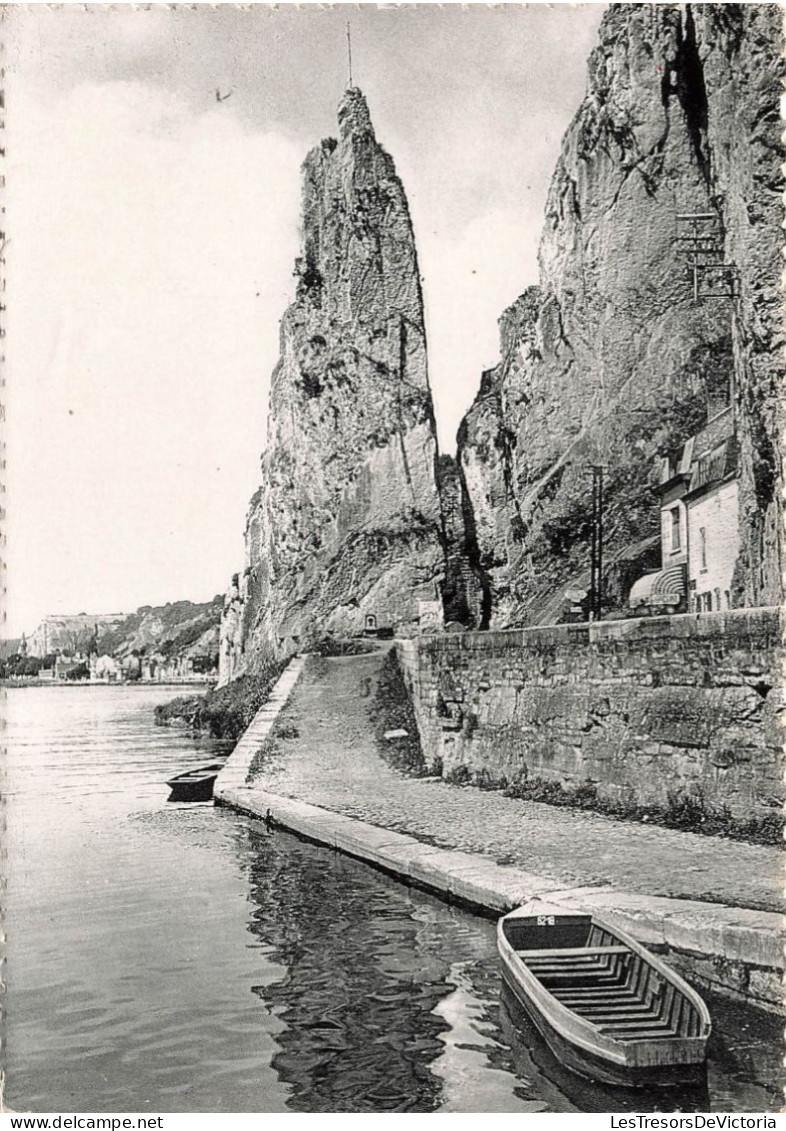 BELGIQUE - Dinant - Vue Sur Une Roche à Bayard - Carte Postale Ancienne - Dinant