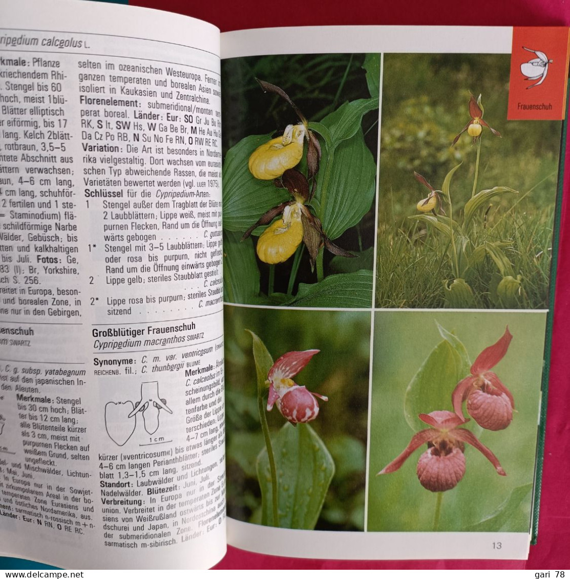 Karl Peter BUTTLER : Orchideen - Collection "guides Nature Colorés" - Naturaleza