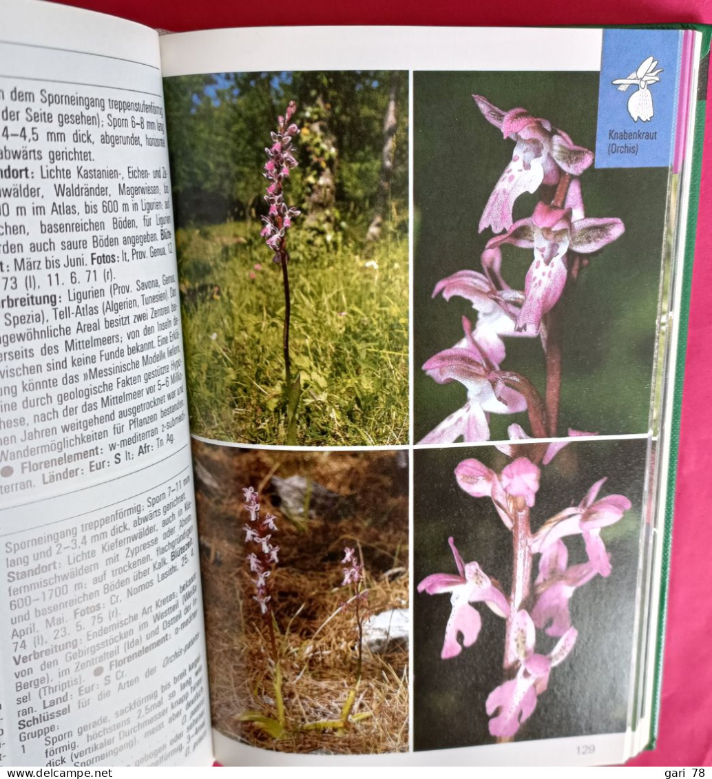 Karl Peter BUTTLER : Orchideen - Collection "guides Nature Colorés" - Natuur