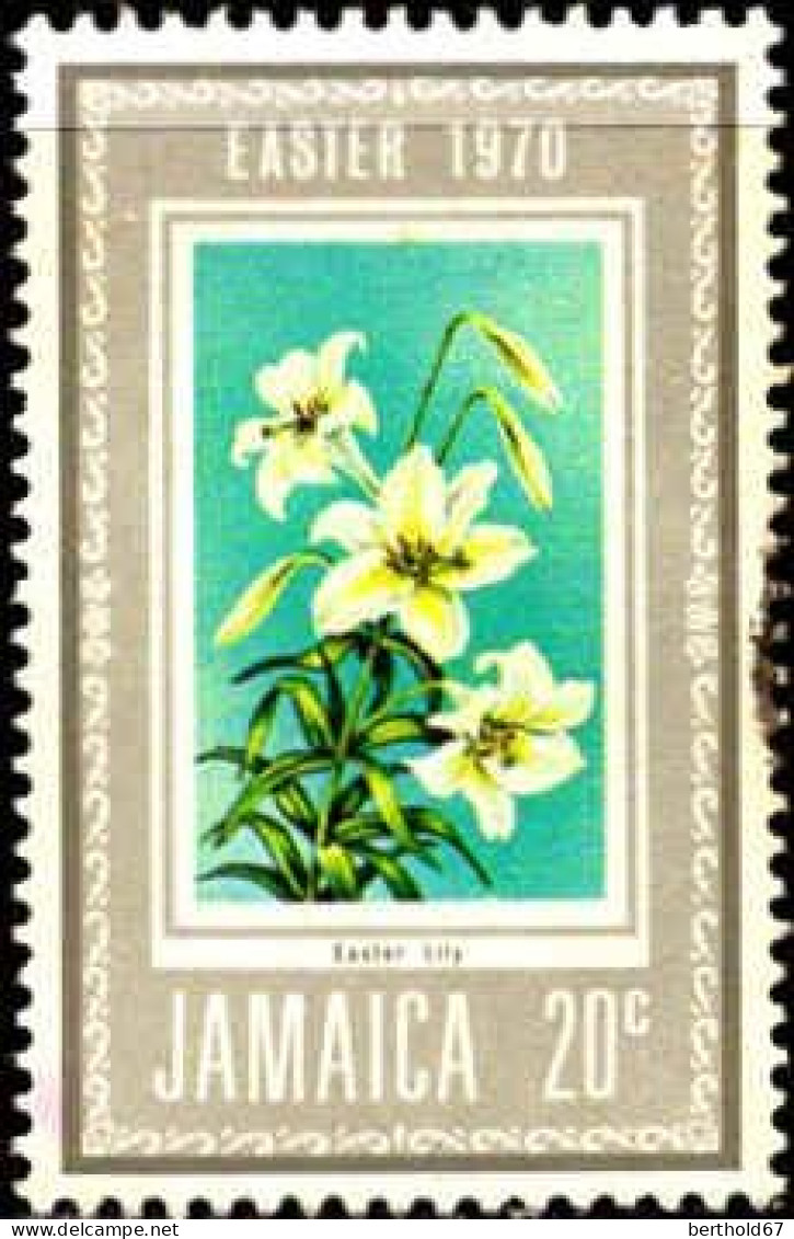 Jamaique Poste Obl Yv: 314 Mi:306 Eastar Lily (cachet Rond) - Giamaica (1962-...)