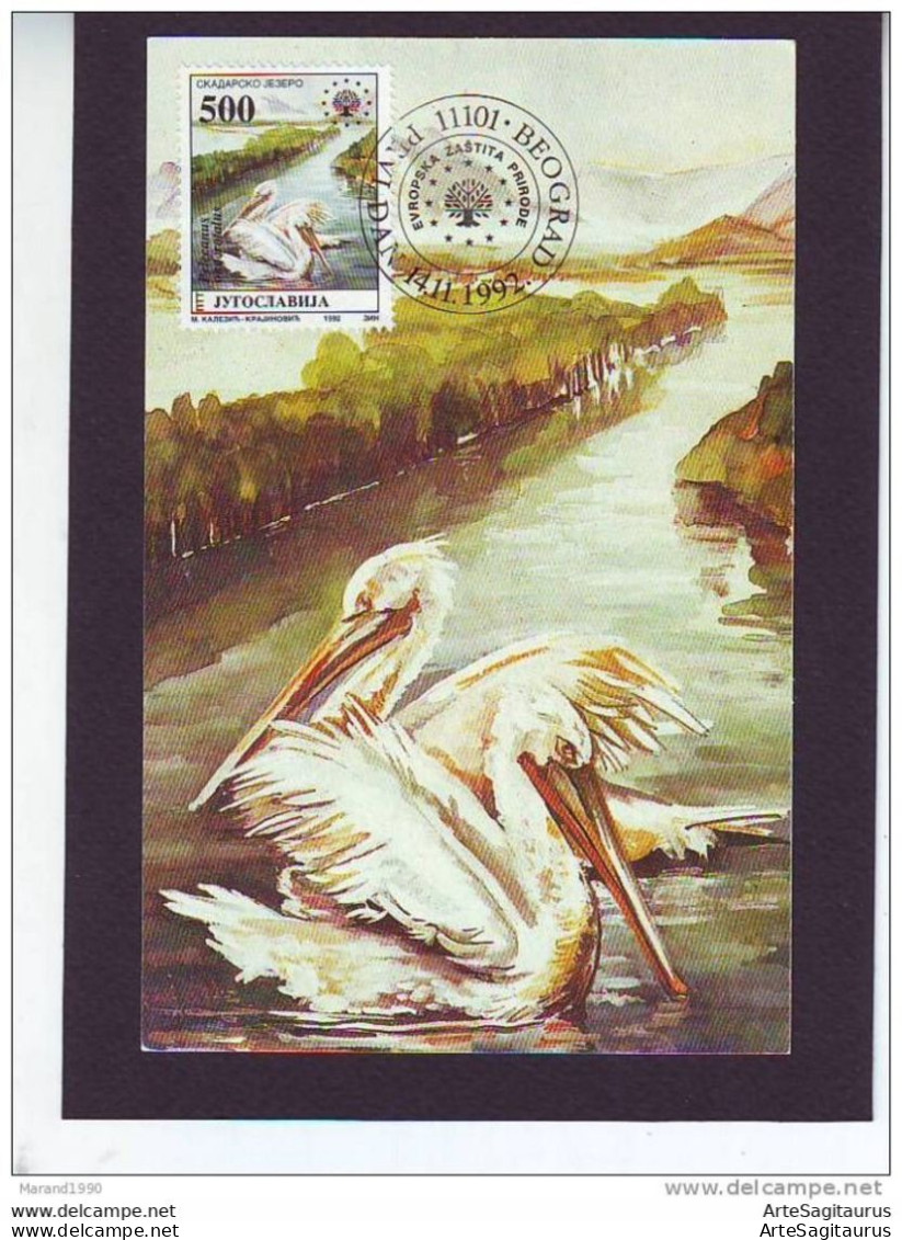 YUGOSLAVIA, CARTE MAXIMUM - BIRDS-Pelecanus Crispus # - Kraanvogels En Kraanvogelachtigen