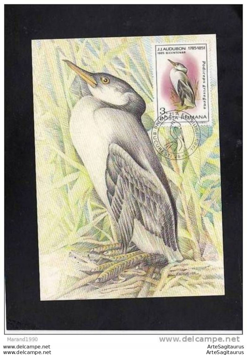 ROMANIA, CARTE MAXIMUM - BIRDS-Podiceps Grisegena # - Kranichvögel