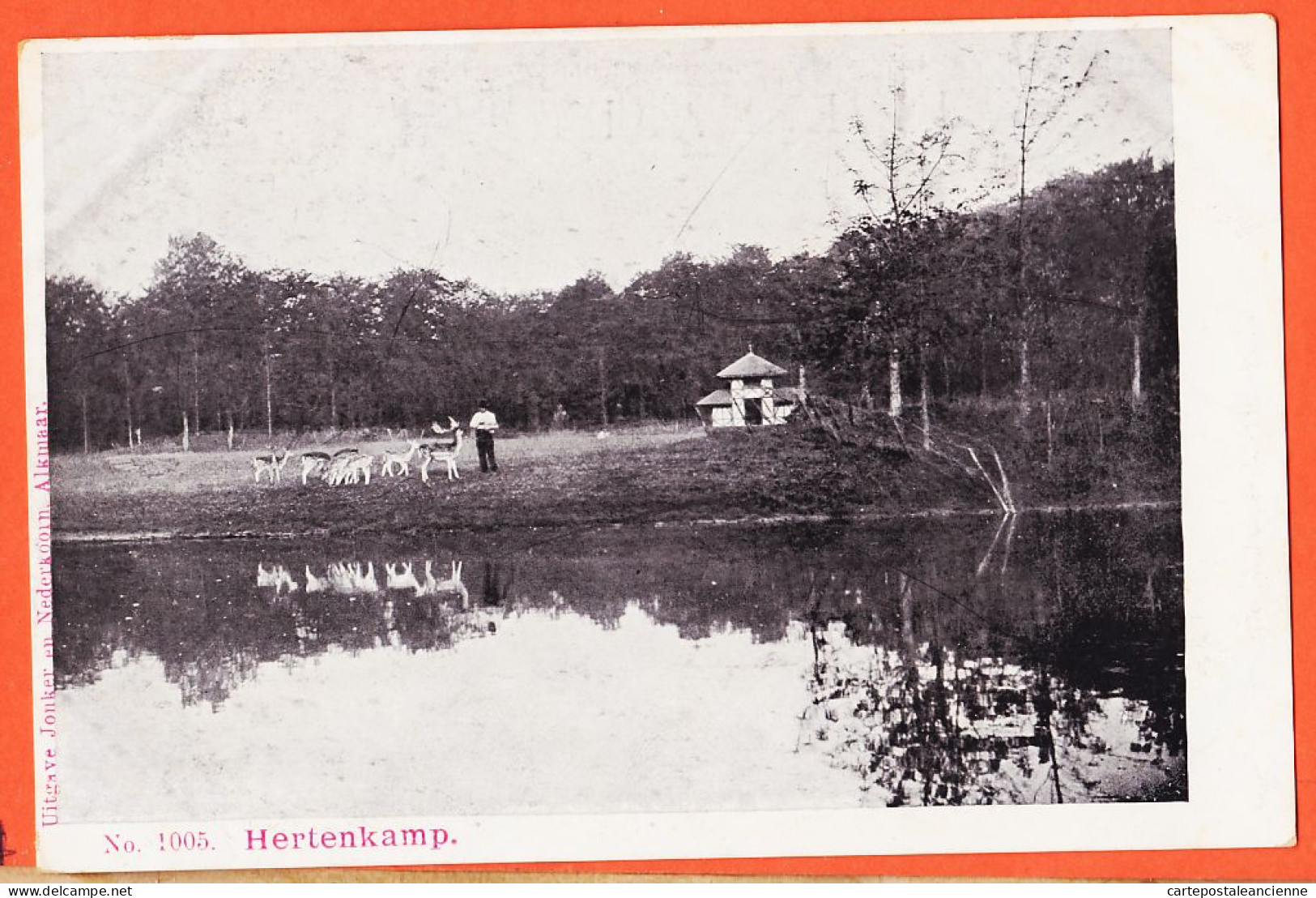 37569 / ⭐ ARNHEM Gelderland Park Sonsbeek Hertenkamp 1900s Uitg JONKER En Nederkoorn Alkmaar Nederland Pays-Bas - Arnhem