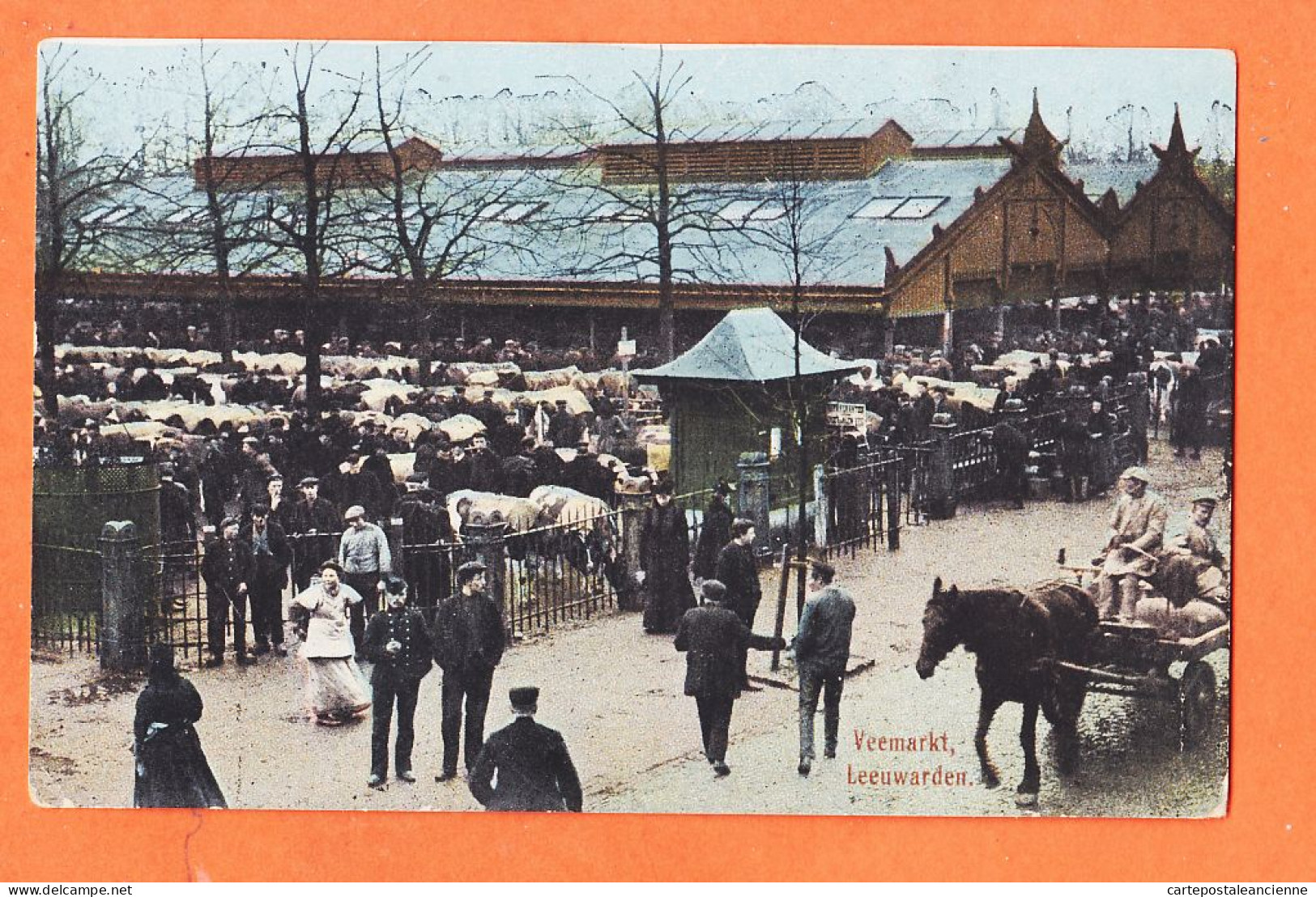 37557 / ⭐ ◉ LEEUWARDEN Friesland Veemarkt Marché Bestiaux 1916 Uitg. L COHEN  - Leeuwarden