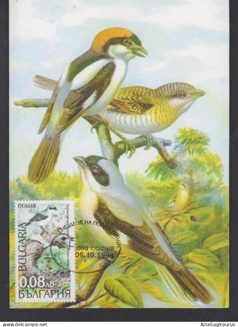 BULGARIA, CARTE MAXIMUM, BIRDS-Lanius Minor # - Passereaux