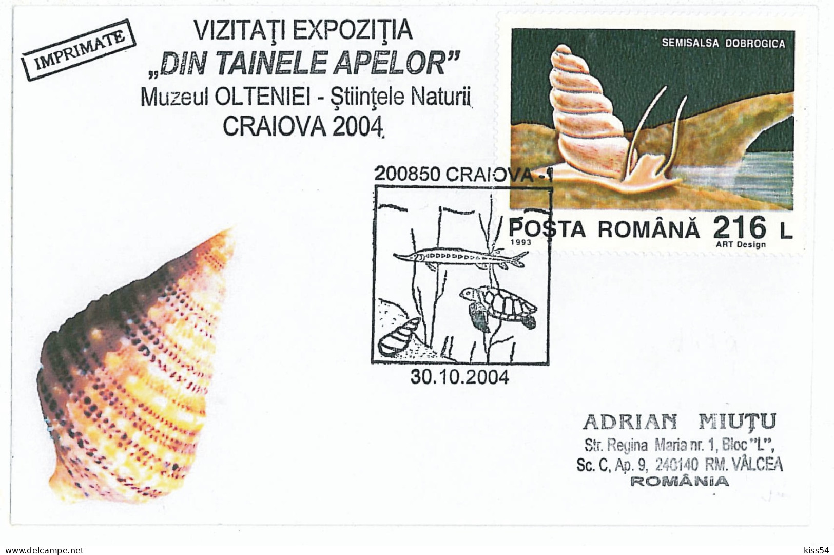 COV 87 - 144a Shells, Turtles, Museum Of Natural Sciences, Romania - Cover - Used - 2004 - Maximum Cards & Covers