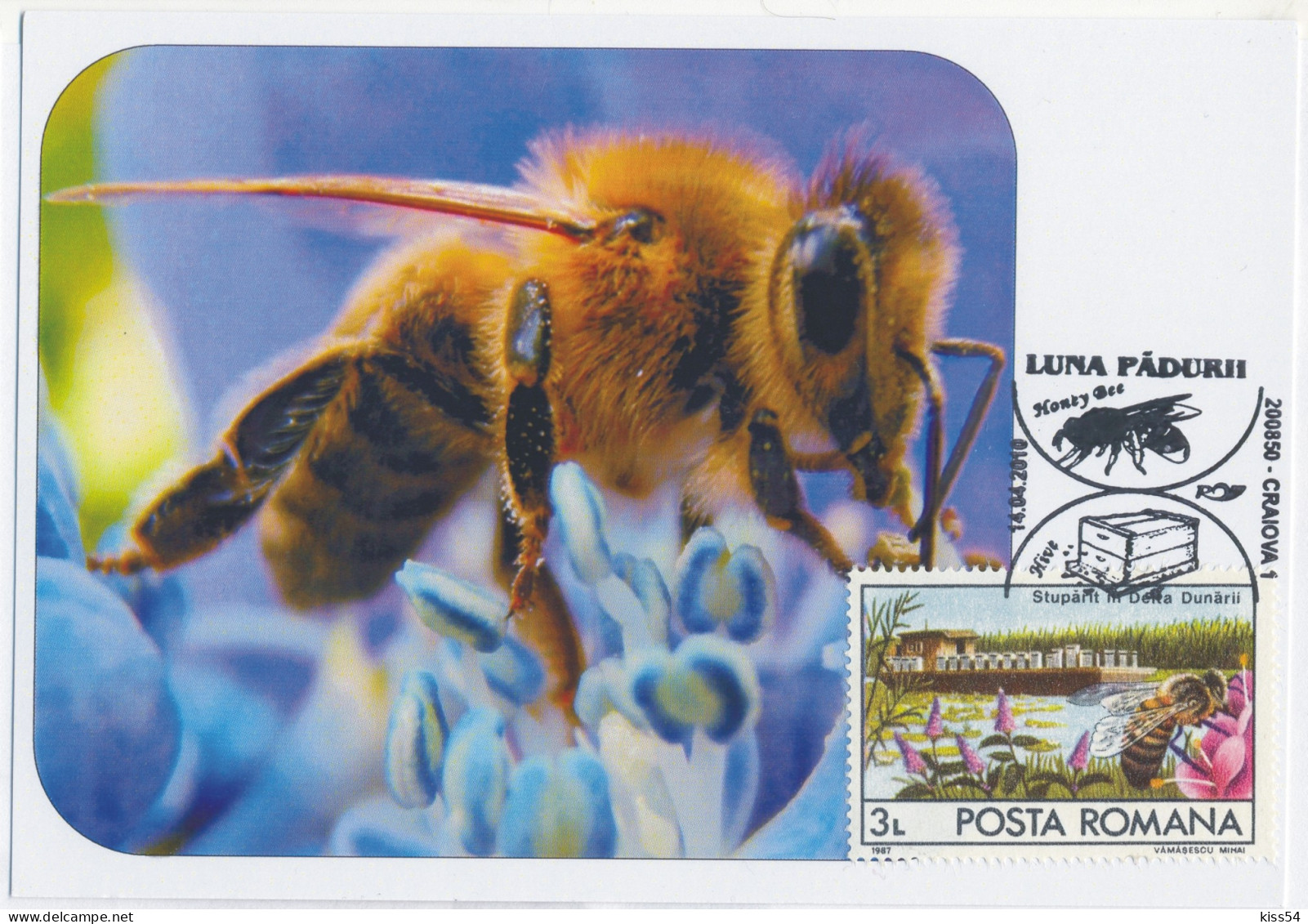 MAX 57 - 235 HONEY BEE, Romania - Maximum Card - 2010 - Bienen